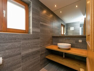 Chalet Dienten Kenmerken 20