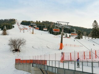 Chalet Dienten Ambiente 24