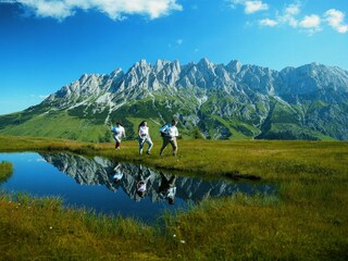 Chalet Dienten Environnement 23