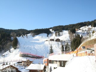 Appartement Dienten Omgeving 20