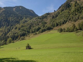 Casa per le vacanze Fusch Ambiente 30