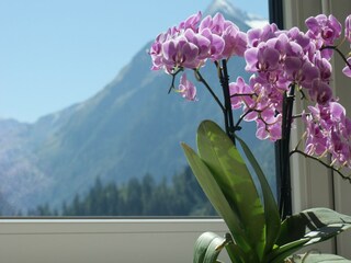 Appartement Kaprun  39