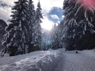 Appartamento Kaprun Ambiente 30