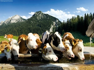 Chalet Fürth bei Kaprun Omgeving 18