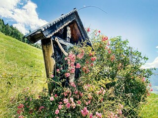Chalet Fürth bei Kaprun Umgebung 33