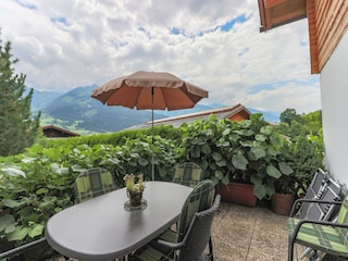 Vakantiehuis Piesendorf Buitenaudio-opname 6