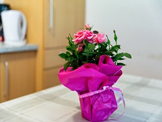 Appartamento Uttendorf  32