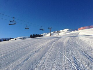 Appartement Mittersill Omgeving 36