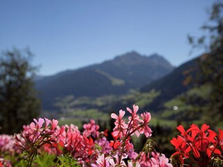 Appartamento Mittersill  39