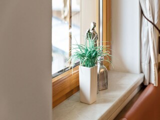 Appartement Mittersill  24