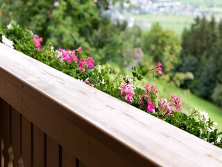 Appartement Mittersill  32