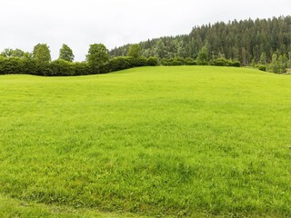 Apartment Mittersill Umgebung 16