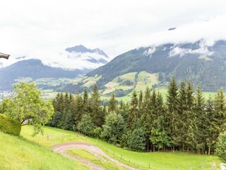 Ferienhaus Mittersill Umgebung 21