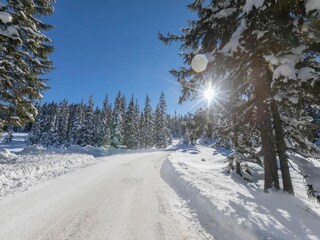 Casa per le vacanze Mittersill Ambiente 28