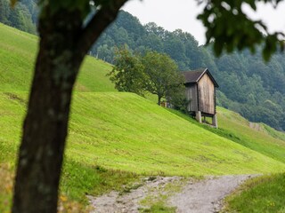 Apartamento Mittersill Grabación al aire libre 8