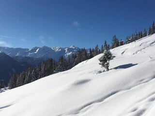 Appartement Mittersill Omgeving 38