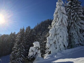 Appartement Mittersill Omgeving 37