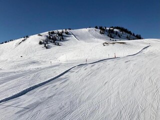 Apartment Mittersill Umgebung 38