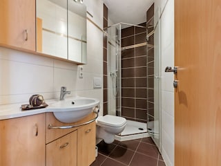 Apartment Hollersbach im Pinzgau Features 14