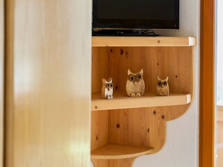 Appartement Hollersbach im Pinzgau  32