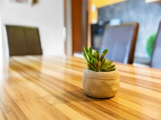 Appartement Hollersbach im Pinzgau  30