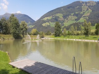 Appartement Hollersbach im Pinzgau Environnement 32