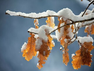 Apartment Hollersbach im Pinzgau Umgebung 31