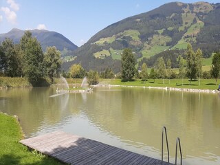 Appartement Hollersbach im Pinzgau Environnement 33