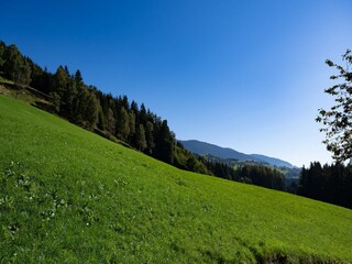 Appartement Mühlbach im Pinzgau Buitenaudio-opname 8