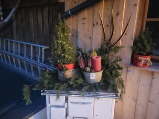 Apartment Mühlbach im Pinzgau  28