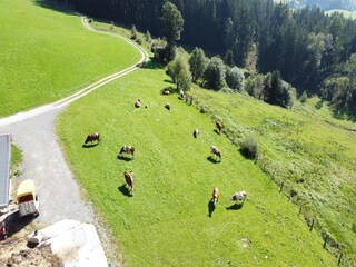 Appartement Mühlbach im Pinzgau Buitenaudio-opname 3