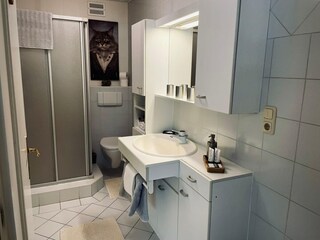 Appartamento Neukirchen am Großvenediger Caratteristiche 22