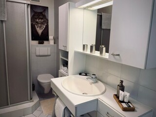 Apartment Neukirchen am Großvenediger Features 24