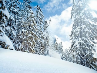 Appartamento Neukirchen am Großvenediger Ambiente 28