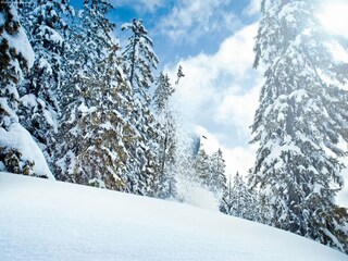Appartement Neukirchen am Großvenediger Environnement 29