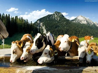 Appartamento Neukirchen am Großvenediger Ambiente 27