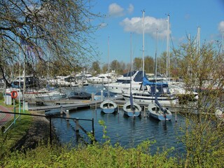 Vakantiehuis Kortgene Omgeving 22