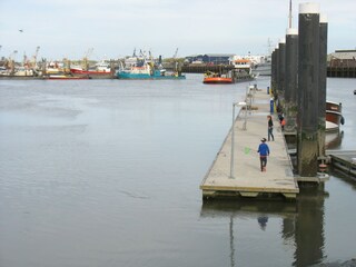 Maison de vacances Lauwersoog Environnement 30