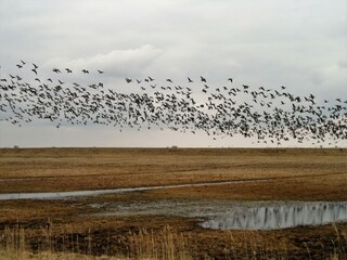 Vakantiehuis Lauwersoog Omgeving 26