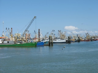 Holiday house Lauwersoog Environment 25