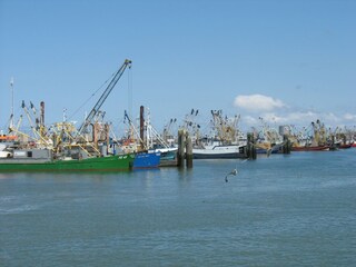 Maison de vacances Lauwersoog Environnement 25