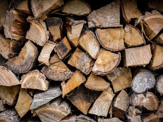 Vakantiehuis Lauwersoog  37