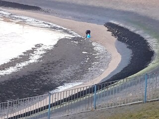 Casa per le vacanze Lauwersoog  38