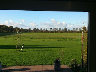 Holiday house Boornzwaag Outdoor Recording 4