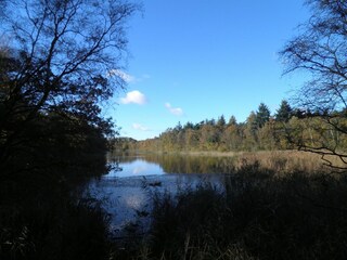 Vakantiehuis Boornzwaag Omgeving 28