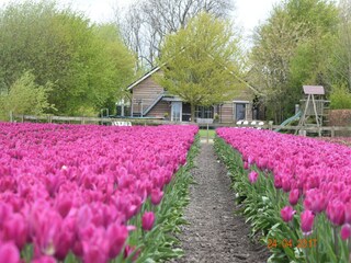 Vakantiehuis Berkhout Buitenaudio-opname 9