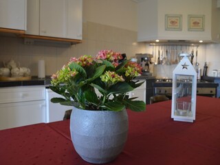 Ferienhaus Berkhout Ausstattung 19