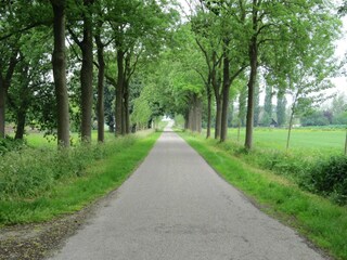 Ferienhaus Berkhout Umgebung 32
