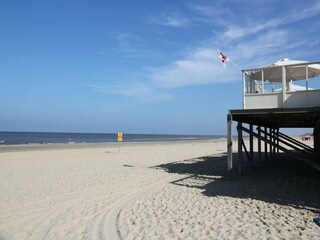 Type de propriété : Ferme Sint Maartenszee Environnement 30
