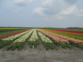 Boerderij 't Zand Buitenaudio-opname 3
